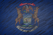 Michigan state flag.