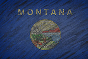 Montana state flag.