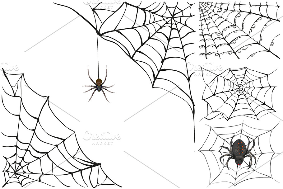 Set black spider web in Illustrations - product preview 8