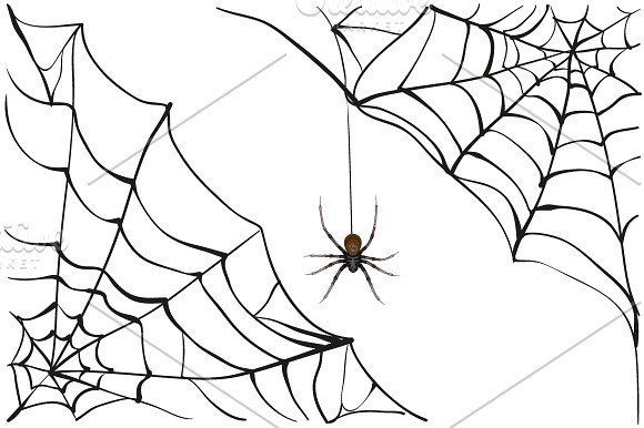 Set black spider web in Illustrations - product preview 1