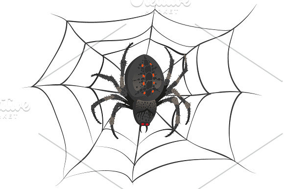 Set black spider web in Illustrations - product preview 5