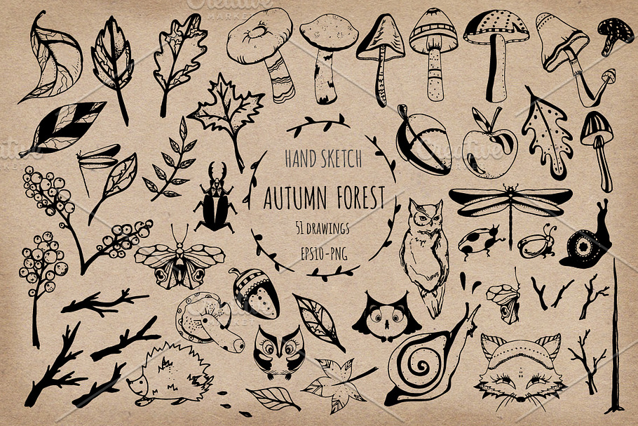Autumn forest. Hand sketch. in Illustrations - product preview 8