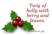 Twig of holly with berry and leaves