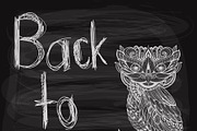 back to school chalk drawn  backgrou
