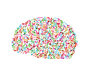 colorful melody in brain