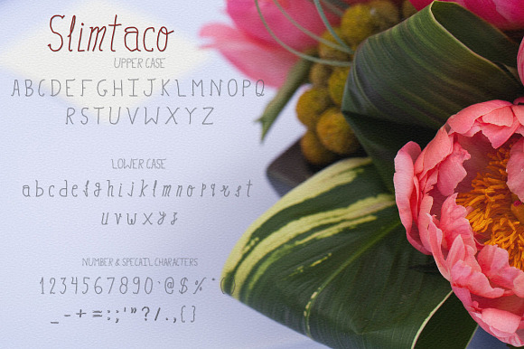 Slimtaco Font in Sans-Serif Fonts - product preview 1