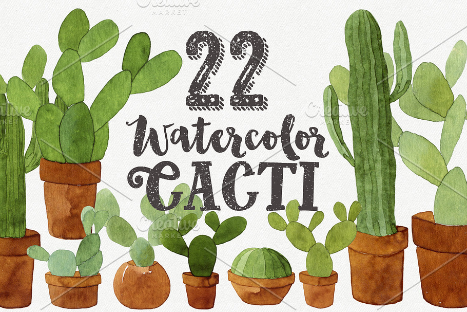 22 Watercolor Cacti in Illustrations - product preview 8