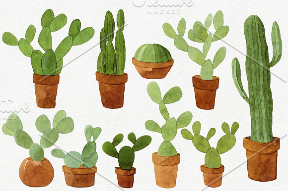 22 Watercolor Cacti in Illustrations - product preview 1