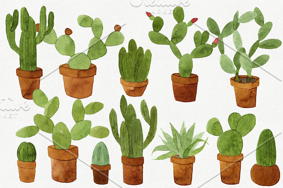 22 Watercolor Cacti in Illustrations - product preview 2