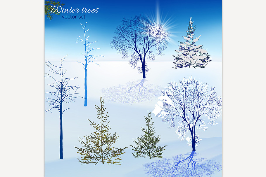 Winter Trees Set in Illustrations - product preview 8