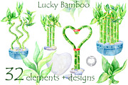 Lucky Bamboo - watercolor clipart