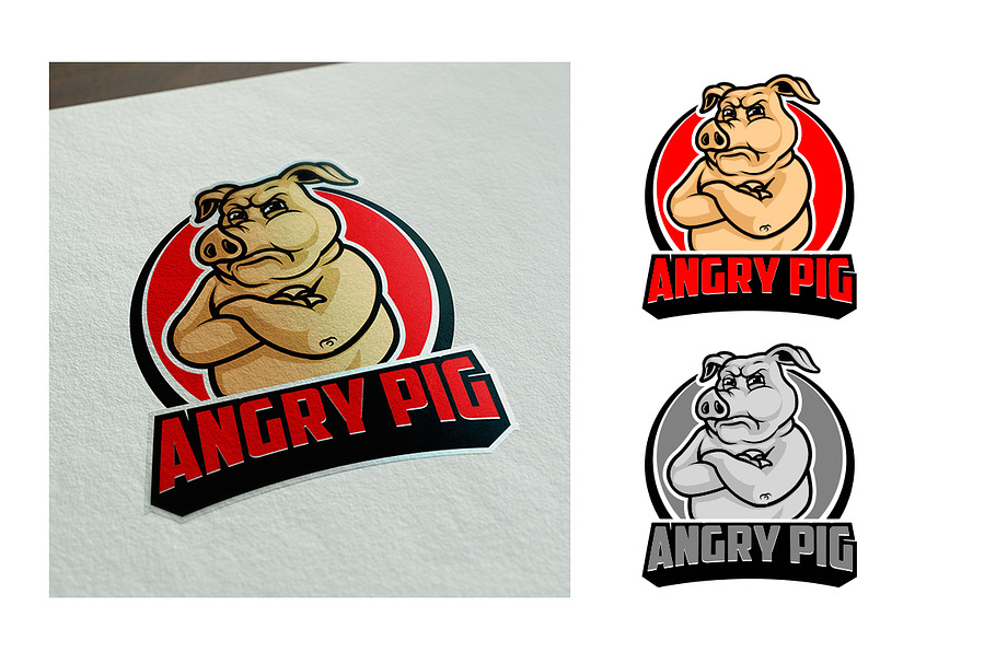 ANGRY PIG in Illustrations - product preview 8