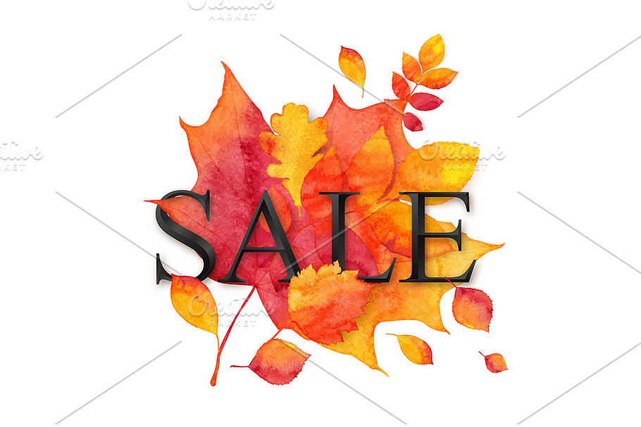 EPS+JPG+PNG watercolor autumn SALE in Objects - product preview 8