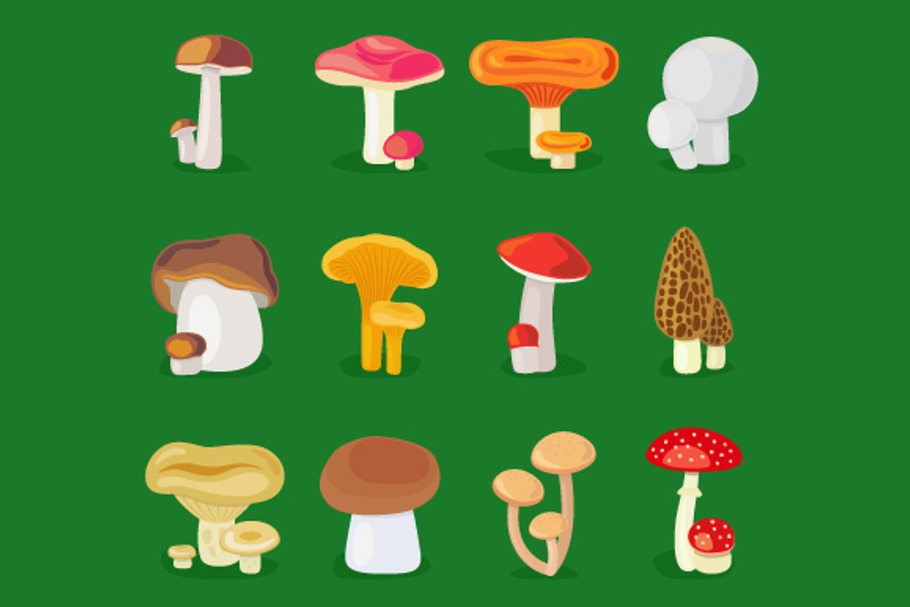 Mushrooms in Objects - product preview 8