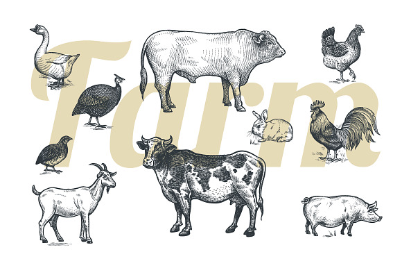 Farm animals and products. in Objects - product preview 1