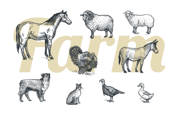 Farm animals and products. in Objects - product preview 2
