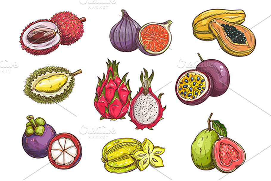 Tropical and exotic fruits sketches in Graphics - product preview 8