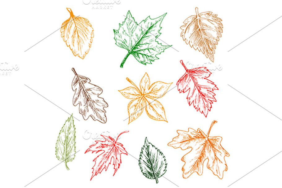 Red, yellow, brown and green leaves in Graphics - product preview 8