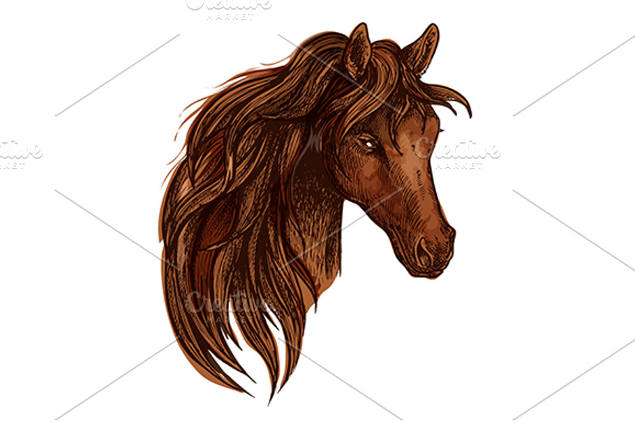 Brown horse with wavy mane in Graphics - product preview 8