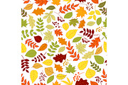 Autumn leaves and berries pattern