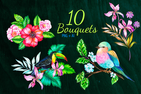 Amazing Botanic 2 - floral elements. in Illustrations - product preview 3