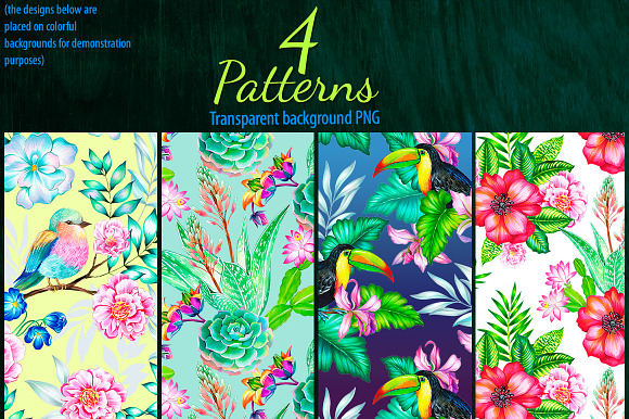 Amazing Botanic 2 - floral elements. in Illustrations - product preview 4