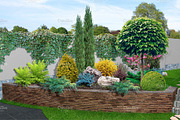 Patio horticultural background