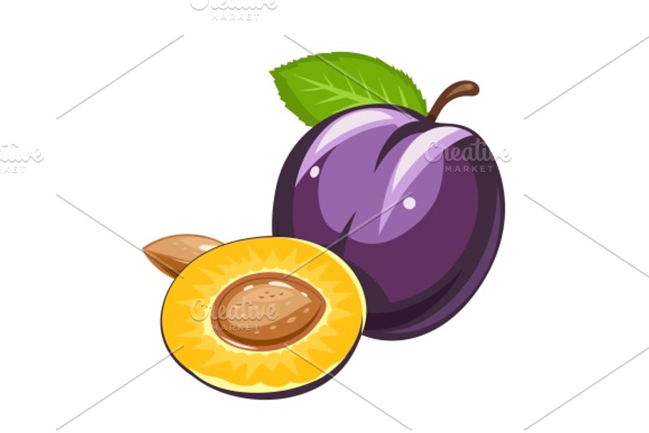 Plum. Ripe juicy fruit with nut and leaf in Illustrations - product preview 8