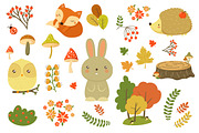 Autumn Forest Plants and Animals