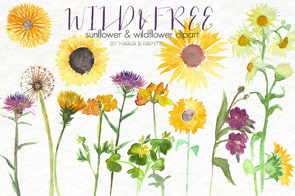 Watercolor Clip Art - Flowers in Illustrations - product preview 1