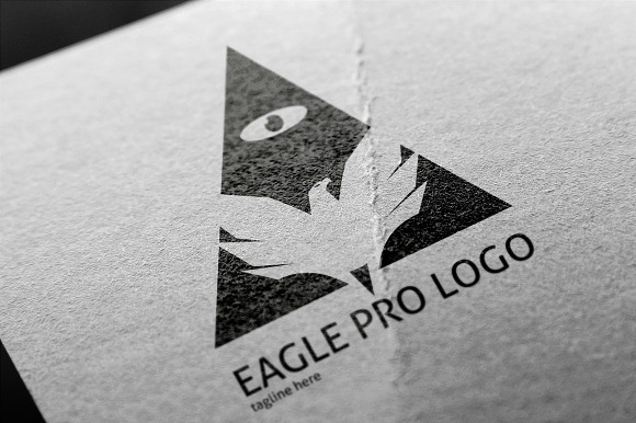 Eagle Pro Logo in Logo Templates - product preview 2
