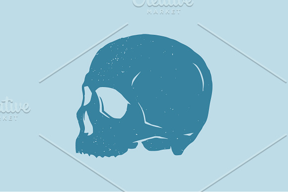 4 Grunge Vector Skulls in Illustrations - product preview 1