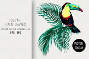 Toucan,palm leaves illustration
