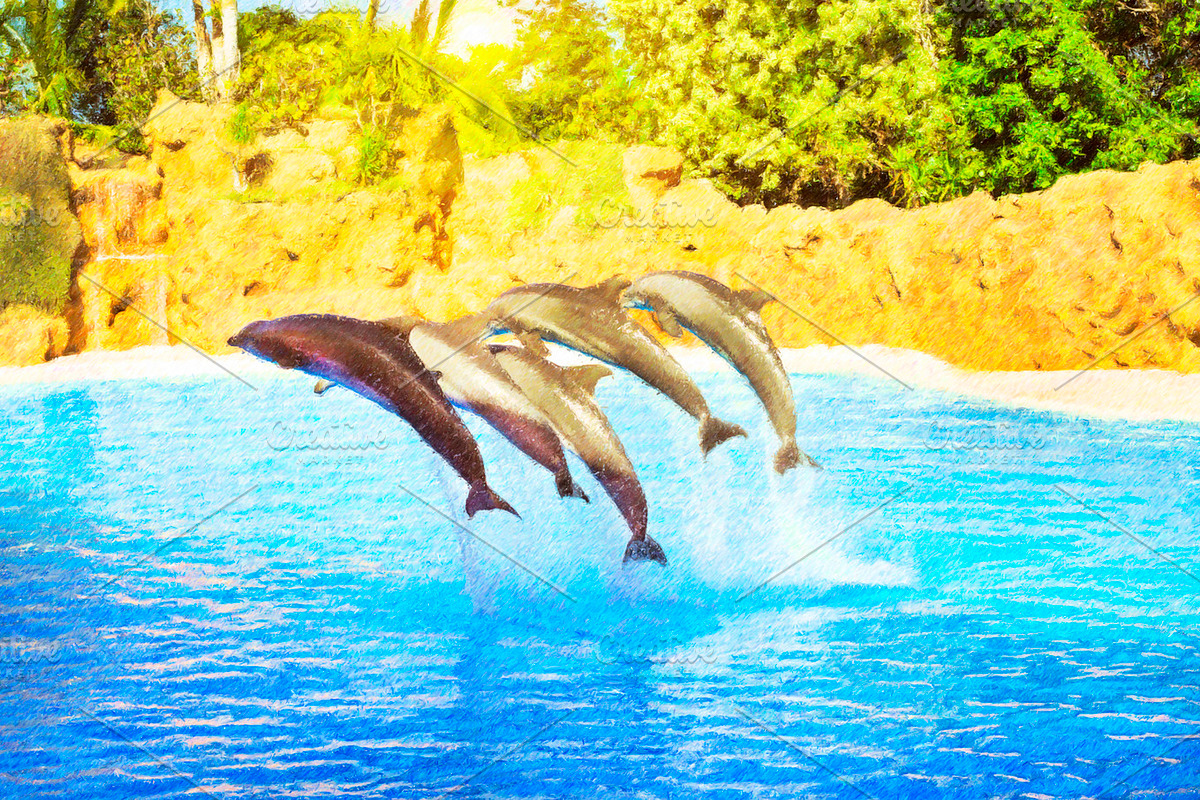 Dolphins Show in pool in Illustrations - product preview 8