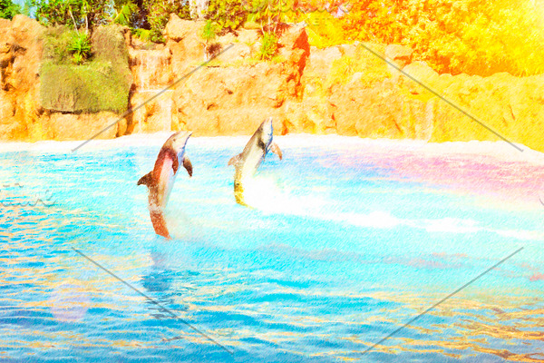 Dolphins Show in pool, Tenerife