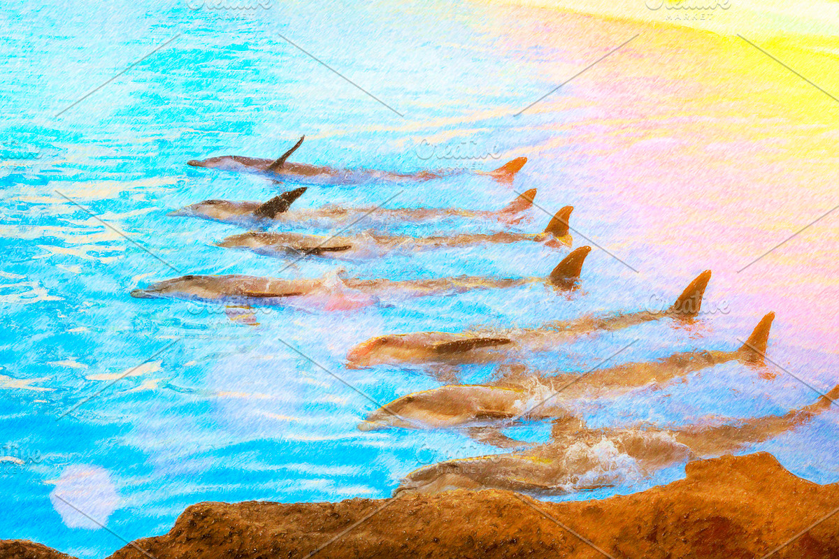 dolphins Show in pool, Tenerife in Illustrations - product preview 8