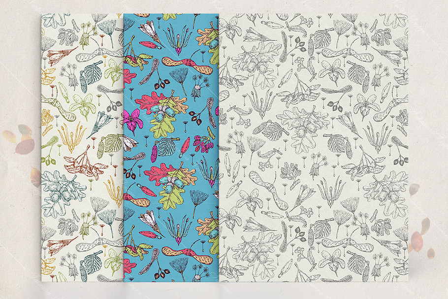 Set of Seamless pattern with seeds in Illustrations - product preview 8
