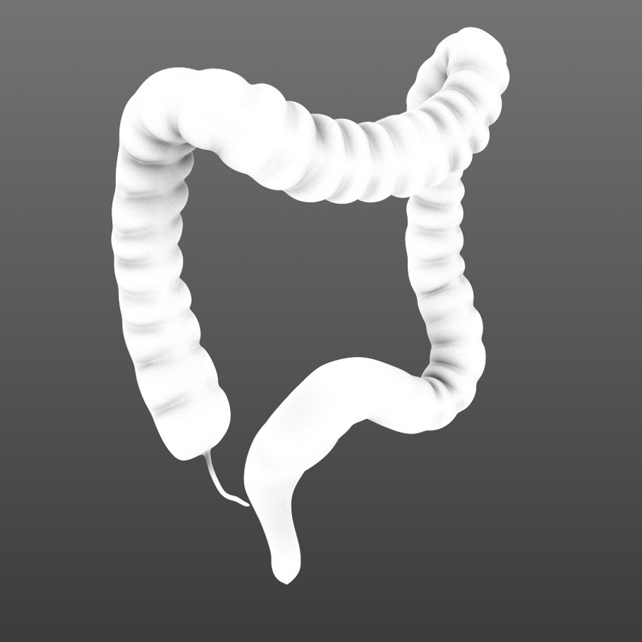Human colon. Animated in People - product preview 2