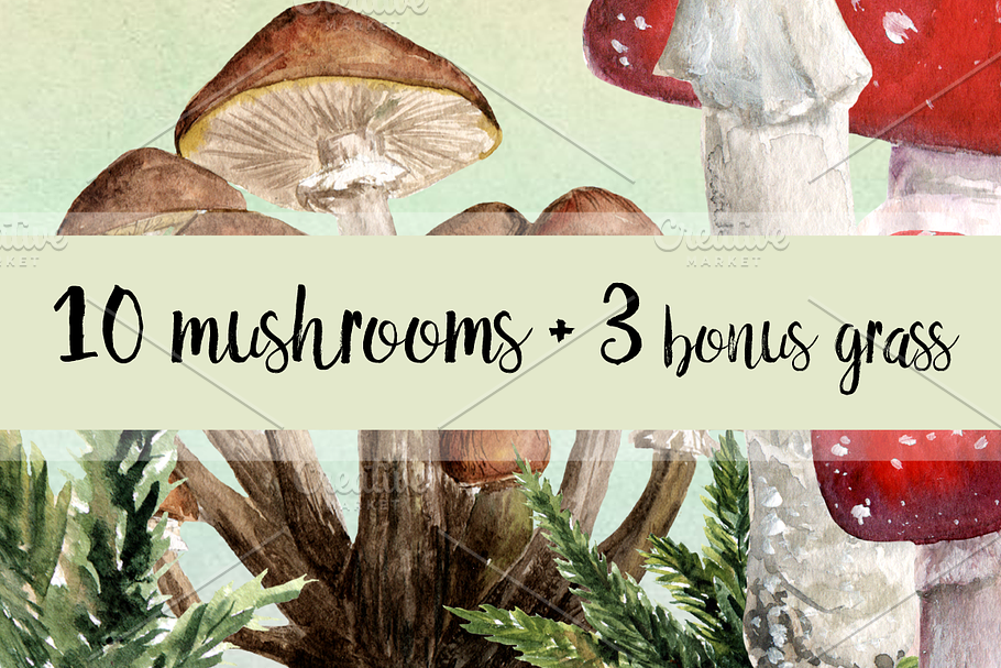 10 Watercolor Mushroom Set + 3 Bonus in Objects - product preview 8