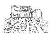 Farm with house and fields
