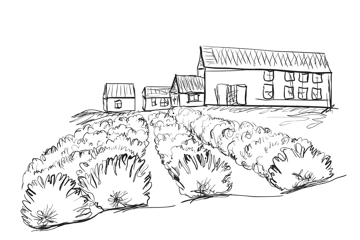 House and fields in Illustrations - product preview 8