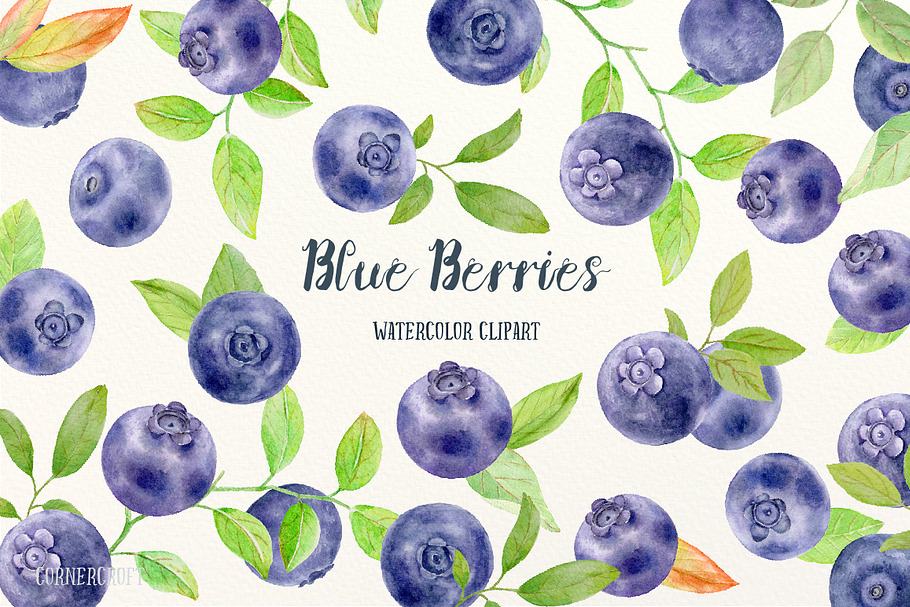 Watercolor Clipart Blueberry
