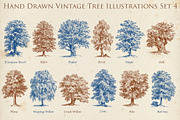 Hand Drawn Vintage Tree Set 2