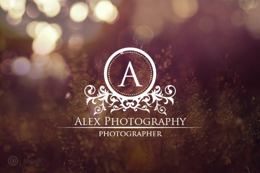 Alex Photography - Luxury Logo