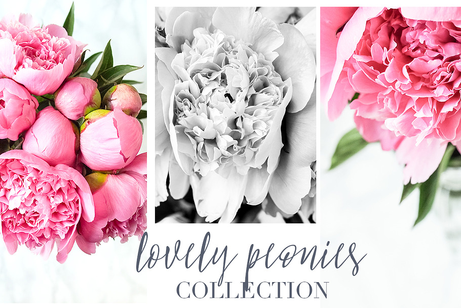 Lovely Peonies Styled Photos