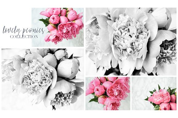 Lovely Peonies Styled Photos in Product Mockups - product preview 1