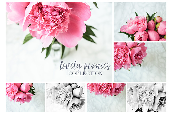 Lovely Peonies Styled Photos in Product Mockups - product preview 2