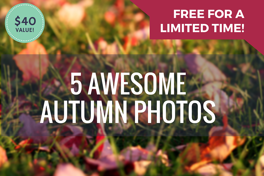 FREE BUNDLE: 5 Awesome Autumn Photos