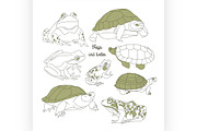 Set with frogs and turtless