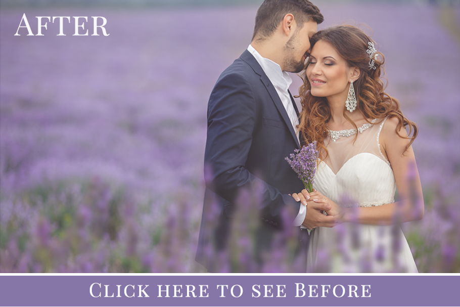 "French Lavender" photo overlays set